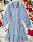 Oxford Shirt Dress